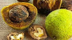 BlackWalnut