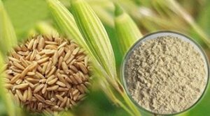 OatBranPowder